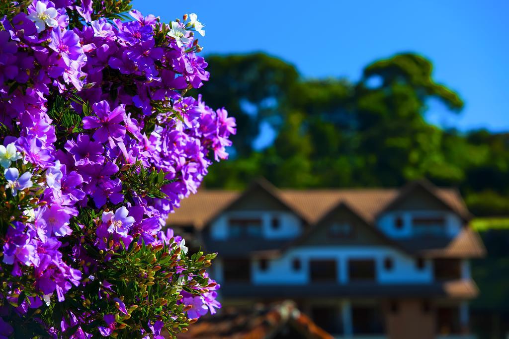 Hotel Pousada Dos Pinhos Pedra Azul  Exterior foto